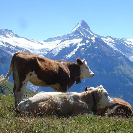 Beim See Grindelwald Exterior photo